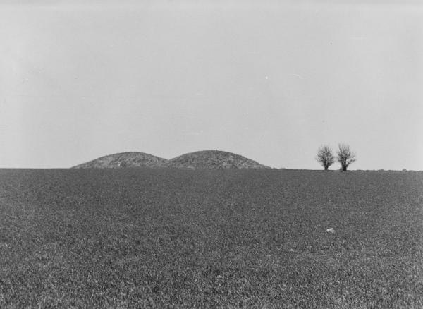 Zwei Hügelgräber und zwei Büsche - sonst nichts